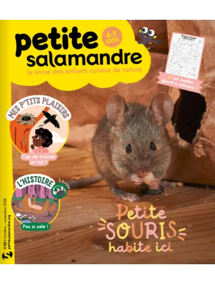 PETITE SALAMANDRE
