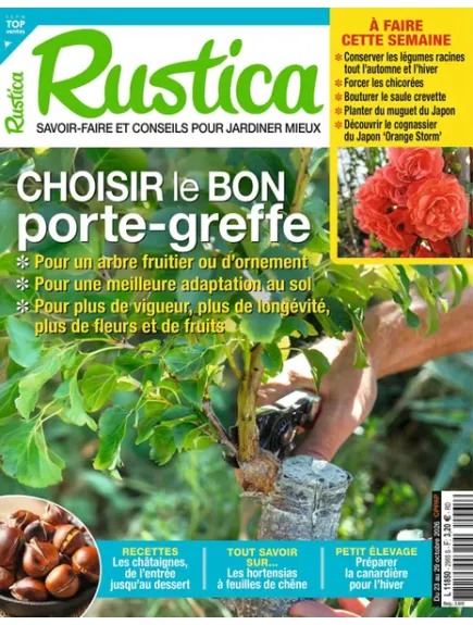 RUSTICA
