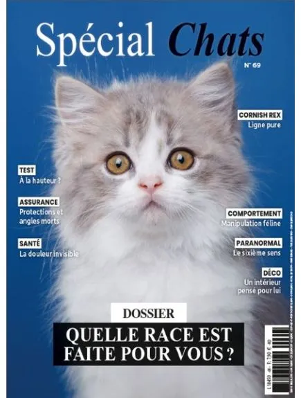 SPECIAL CHATS