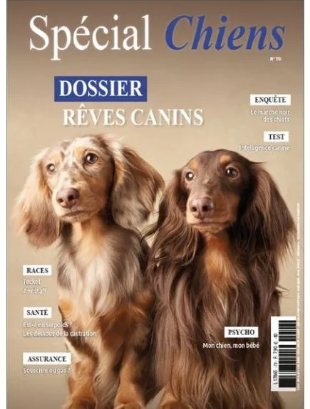 SPECIAL CHIENS