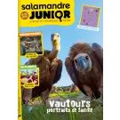 SALAMANDRE JUNIOR