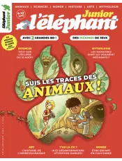 L'ELEPHANT JUNIOR