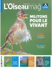 L'OISEAU MAG