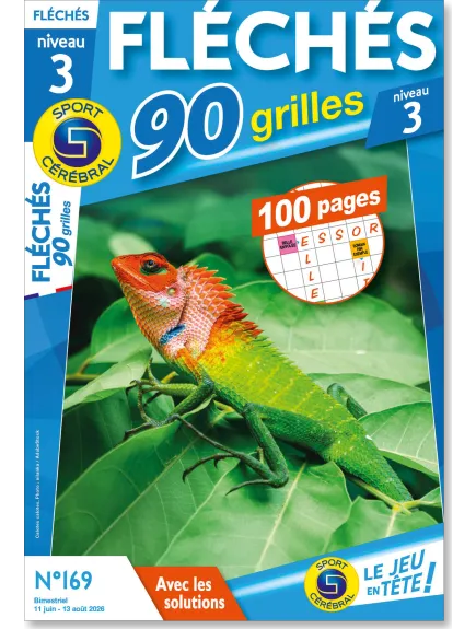FLECHES 90 GRILLES NIVEAU 3