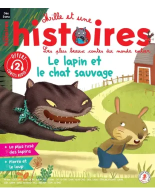 MILLE ET UNE HISTOIRES