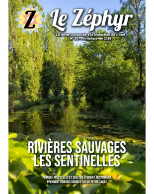 LE ZEPHYR