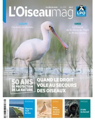 L'OISEAU MAG