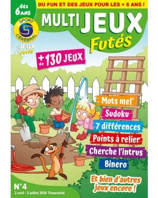 MULTIJEUX FUTES