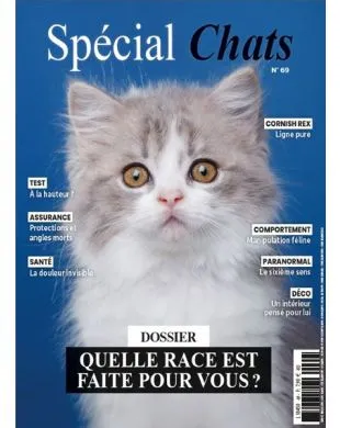 SPECIAL CHATS